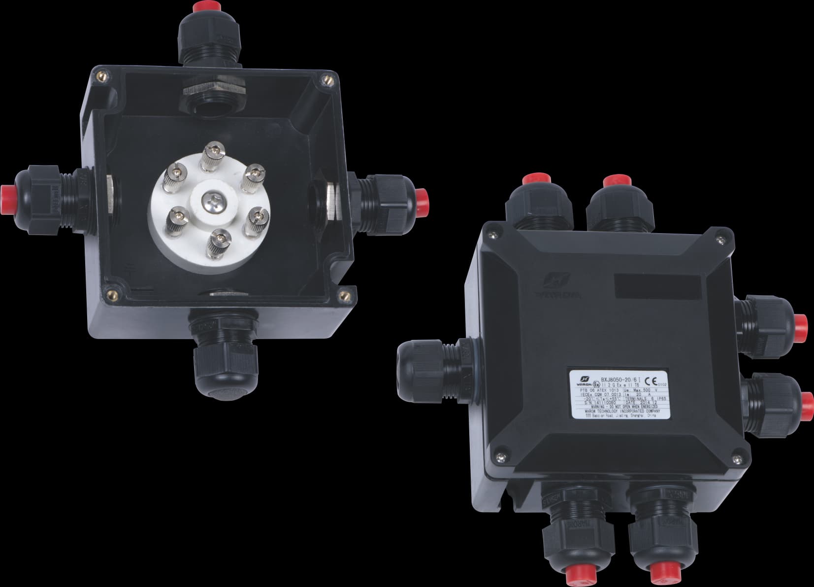 Hộp đấu dây BXJ8050-20/6